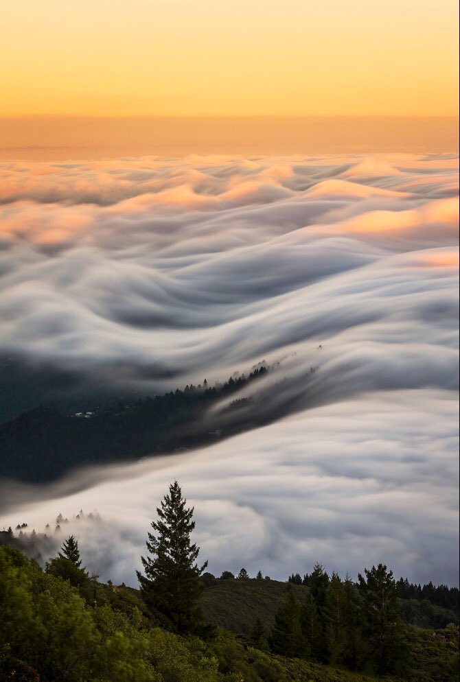 bay_photography's tweet photo. Wide.            vs.              Zoom.

Fog season on Mt Tam https://t.co/h75noNUVrj