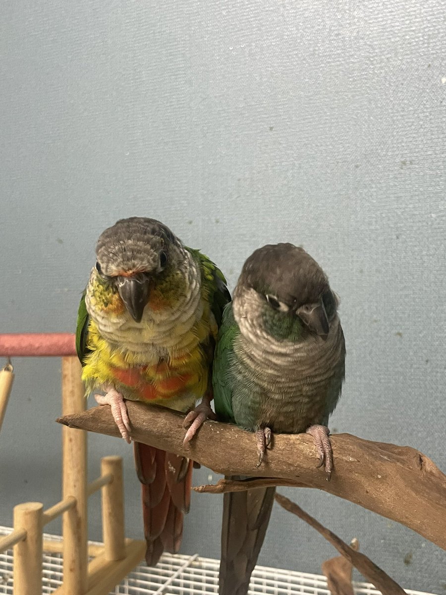 루리 털 이뽀 ㅎㅎ