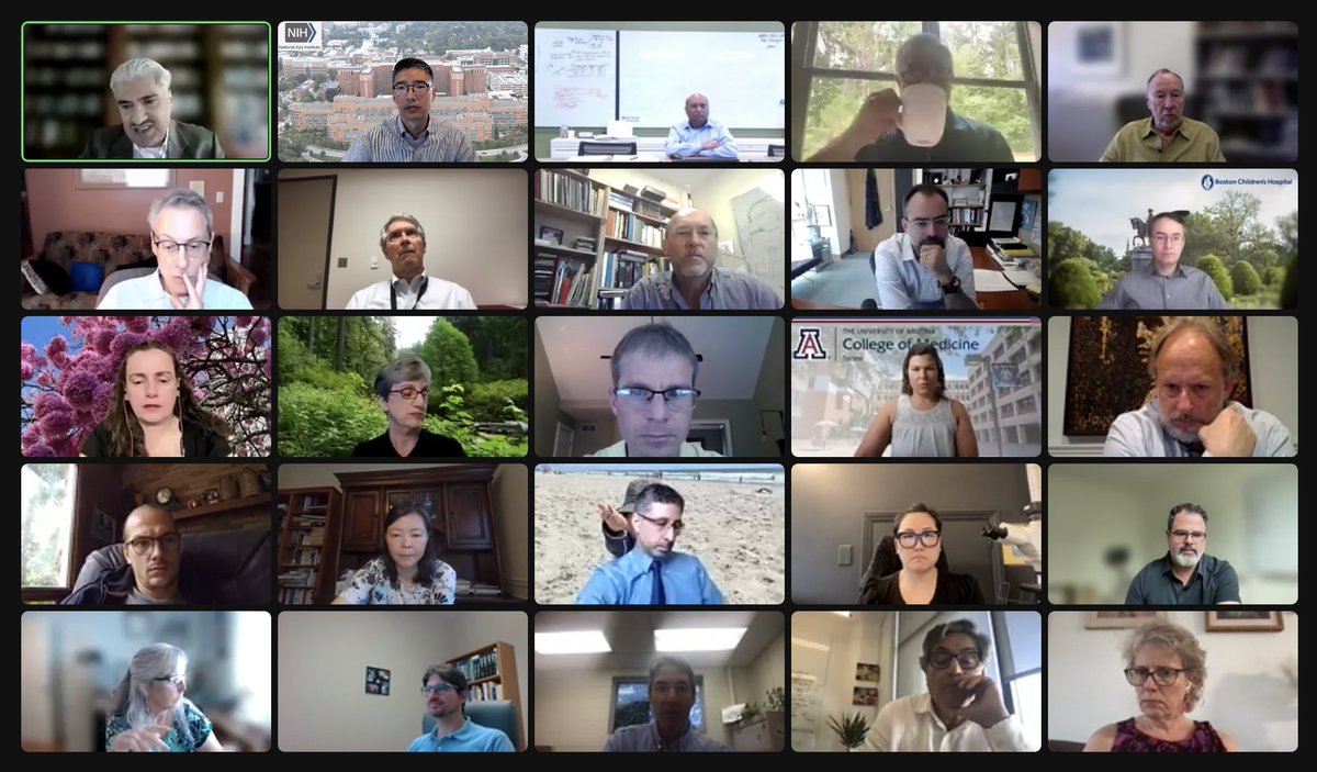 NEIDirector's tweet photo. Meeting of @NatEyeInstitute ocular surface consortium.

8 linked collaborative projects with goal: delineate ocular surface innervation including corneal sensation, pain circuits, tearing reflexes.

Teams include @dukeeyecenter @HMSeye @BascomPalmerEye (others tagged in photo...) https://t.co/ouEsKcHlnt