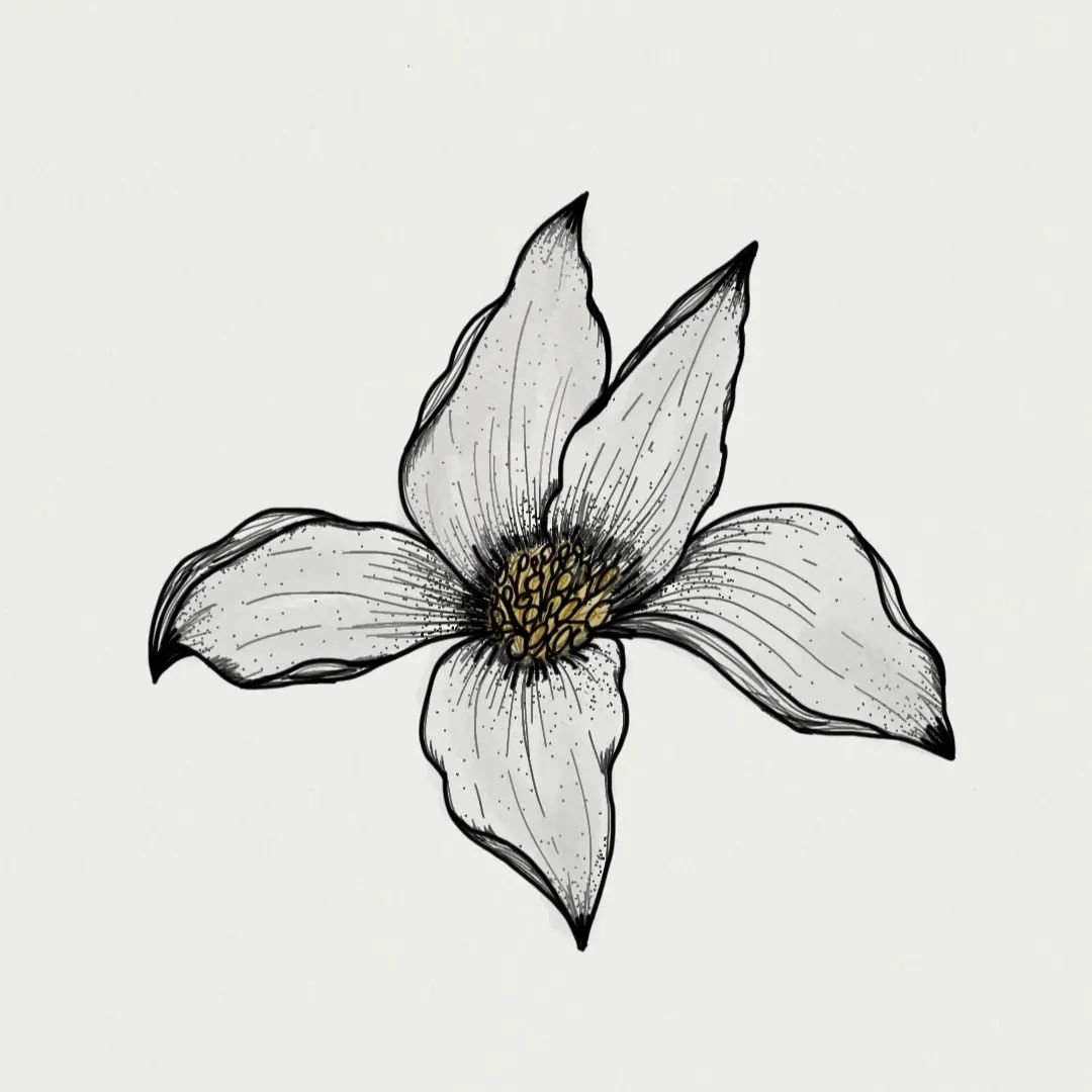 Beautiful flower designs using different techniques and styles by @icy_aura 

#tayasui #tayasuisketches #drawingoftheday #drawing #simplicity #positivity #iOS #iPad #made_in_sketches