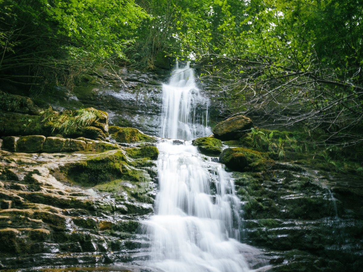 kafsot's tweet photo. #pic #picture #photo #photography #picoftheday #pictureoftheday #photooftheday #fujifilm #fujifilmespaña #gfx50s #fujigfx #landscape #landscapephotography #waterfall #burgos #valledemena #nature #naturephotography https://t.co/PcqbHUrYdD