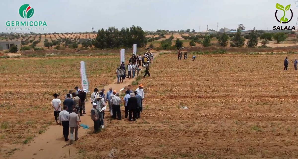 Germicopa tweet media