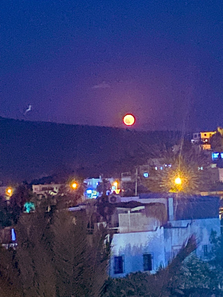 ephforia's tweet photo. Kendinize bir iyilik yapın #Bodrum’a gidin.Dünyadan uzak koylarında Hekimköy’de , Torba’da  mavi ve yeşilin uyumuna bırakın ruhunuzu, nefes alsın #Gümüşlük’te gün batımı ve #Gölköy’de dolunayı izleyin. Yürüyün her adım yeni keşiflere götürsün.
#tour #tourism #MaviyeSürgün #expo https://t.co/D5VVk77oHX