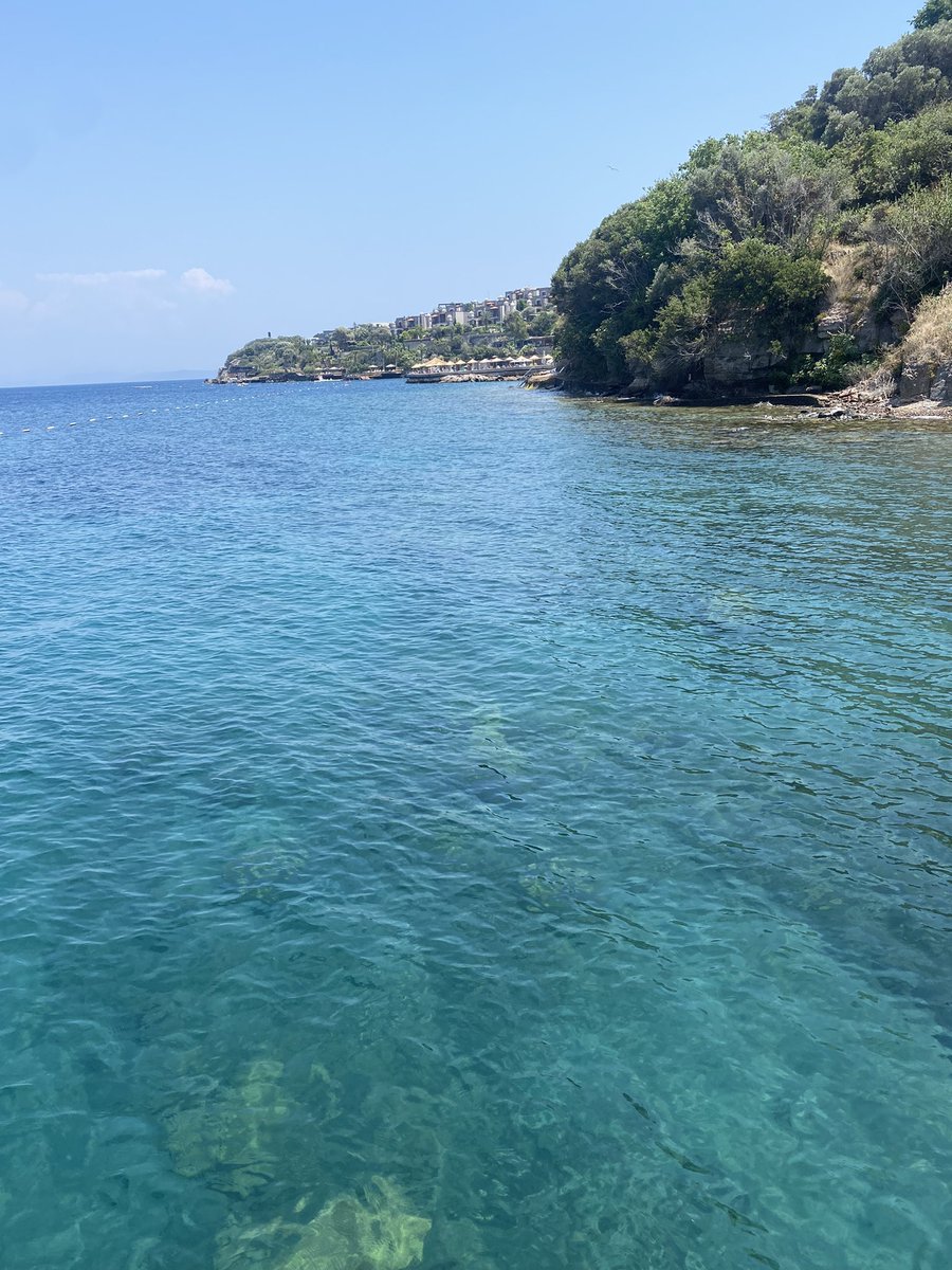 ephforia's tweet photo. Kendinize bir iyilik yapın #Bodrum’a gidin.Dünyadan uzak koylarında Hekimköy’de , Torba’da  mavi ve yeşilin uyumuna bırakın ruhunuzu, nefes alsın #Gümüşlük’te gün batımı ve #Gölköy’de dolunayı izleyin. Yürüyün her adım yeni keşiflere götürsün.
#tour #tourism #MaviyeSürgün #expo https://t.co/D5VVk77oHX