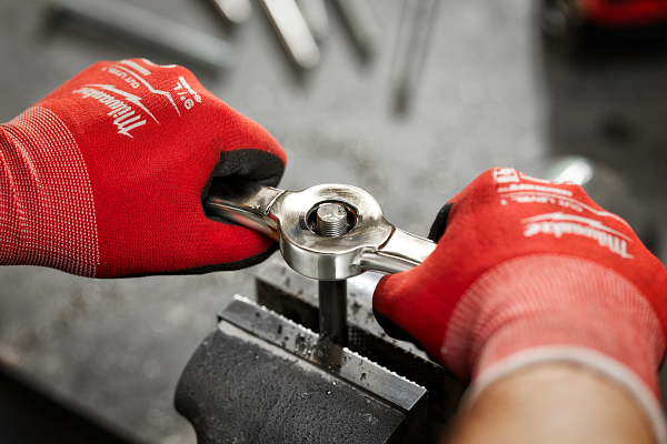 Tool Show tweet media