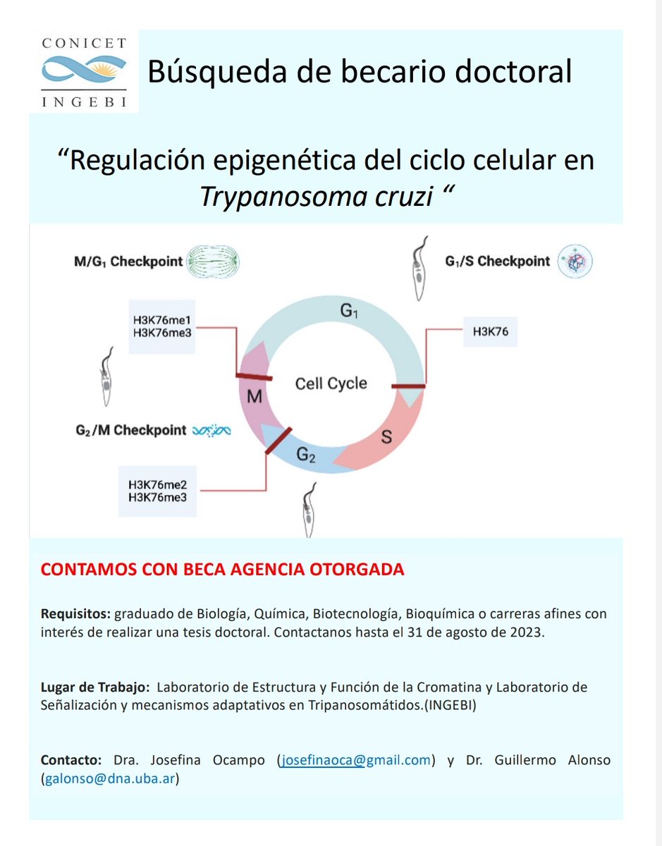 Grandioso grupo busca becarie doctoral! 
#epigenetica
#trypanosomacruzi