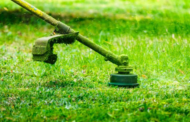 ShoppingHeavy's tweet photo. The Best Battery-Powered Weed Eaters: Reviewed &amp; Ranked (2023) #Garden  https://t.co/uFcJVRM5ZJ https://t.co/rrnRHpLZSQ