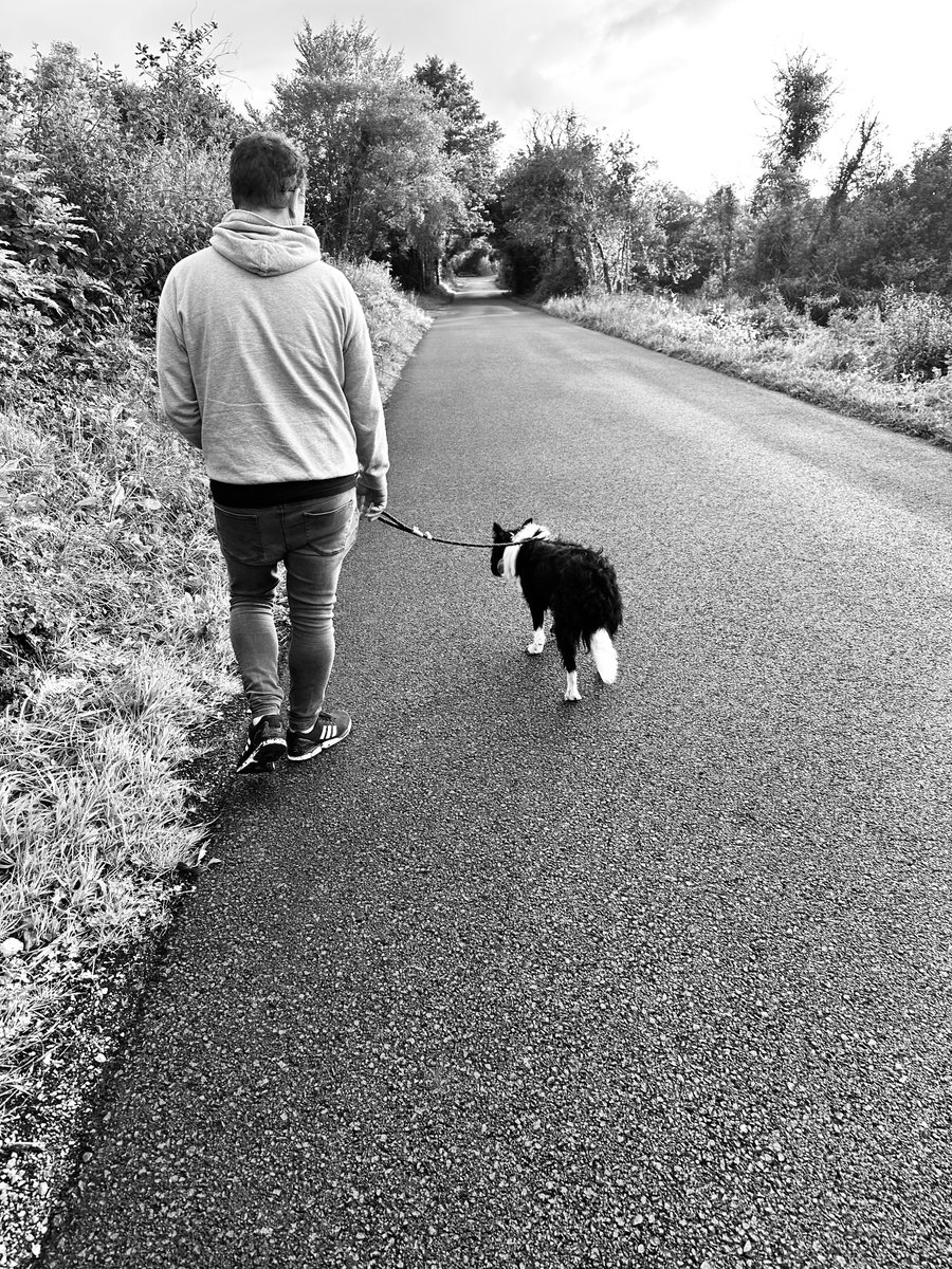 Lisa91168497's tweet photo. Meet Elvis!  Small black and white border collie who literally “was nothing but a pound dog”. No history, picked up by the warden.

He is currently in foster but looking for a home soon.  #bordercollie #rescue #needshome #pounddogelvis #dogfoster #dogsoftwitter https://t.co/U6tONPWd6P