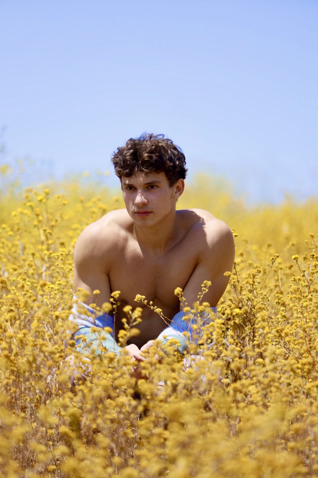 CJ Clark on Twitter "What you don’t see under the flowers https //t.co