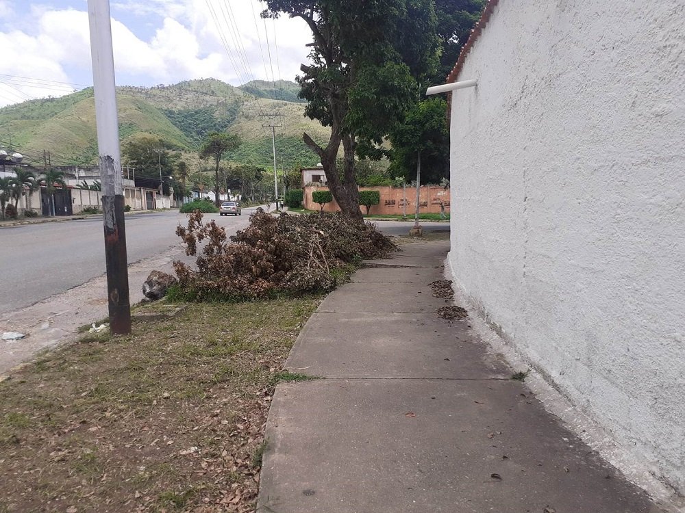Exigen culminación de trabajos de poda y limpieza en La Mora II