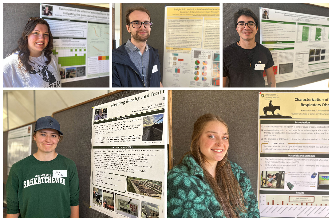 WCVM Today (@wcvmtoday) on Twitter photo A group of graduate students from the #WCVM introduced their research to attendees at the <a href="/LFCE_usask/">Livestock & Forage Centre of Excellence</a> Summer Field Day on June 20. The event includes a graduate research poster competition, allowing students to present their work to various spectators. ow.ly/6YxF50P6Chn A group of graduate students from the #WCVM introduced their research to attendees at the <a href="/LFCE_usask/">Livestock & Forage Centre of Excellence</a> Summer Field Day on June 20. The event includes a graduate research poster competition, allowing students to present their work to various spectators. ow.ly/6YxF50P6Chn