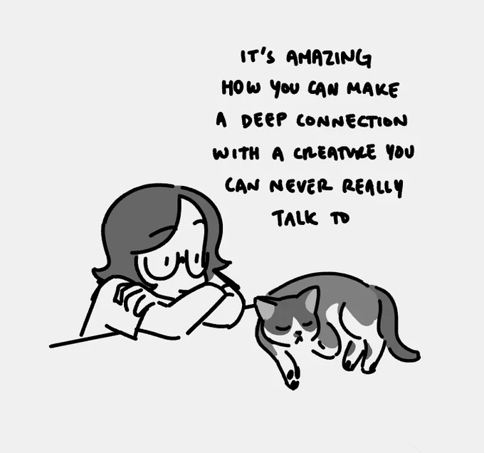 a comic about my cat