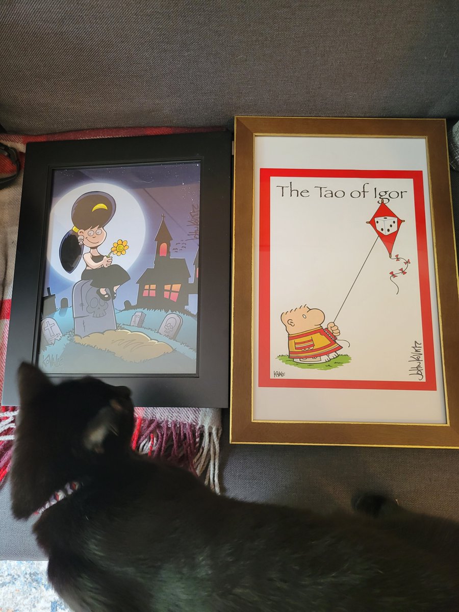 Sim_Mayor's tweet photo. The intern is doing a final quality check as I slowly but surely get my backlog of @muskrat_john swag framed to hang in my rapidly-diminishing wall space. https://t.co/BENkewyzXI