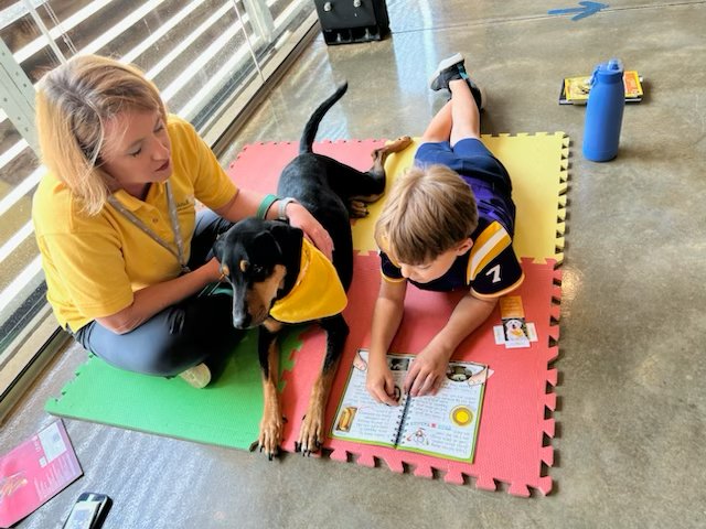 HandinPawAL's tweet photo. This Thursday from 10-12pm ππΆ Come, Sit, Stay, Read at Hand in Paw! Sign your child up for a free 30-minute reading session with one of our amazing Therapy Teams! Email Stephanie Stoltzner at stephanie@handinpaw.org to reserve your slot. π
#handinpaw #sitstayread https://t.co/Er5DKmmy19