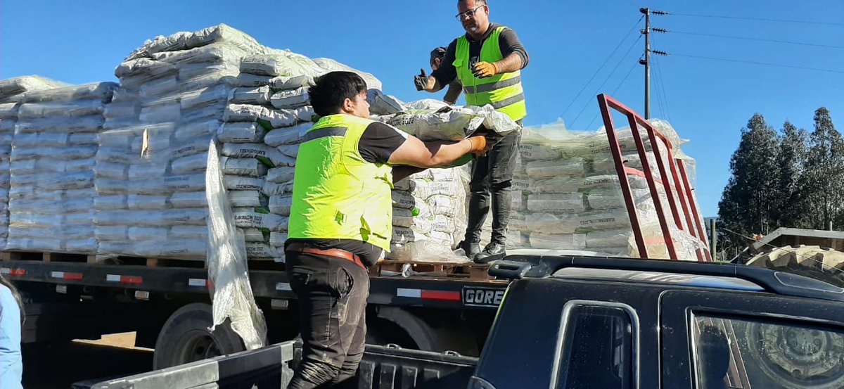 INDAP_MAULE's tweet photo. En Curepto, entregamos  alimentación animal a  67 usuarios (as) de @INDAP_Chile , en total 1598 sacos por $18.635.00, junto al director regional(s) de @INDAPMAULE y la @MinagriMaule Ana Muñoz.
Estos recursos permitirán suplementar la alimentación  de 1.289 cabezas de ganado. https://t.co/SgYt2sjRaD
