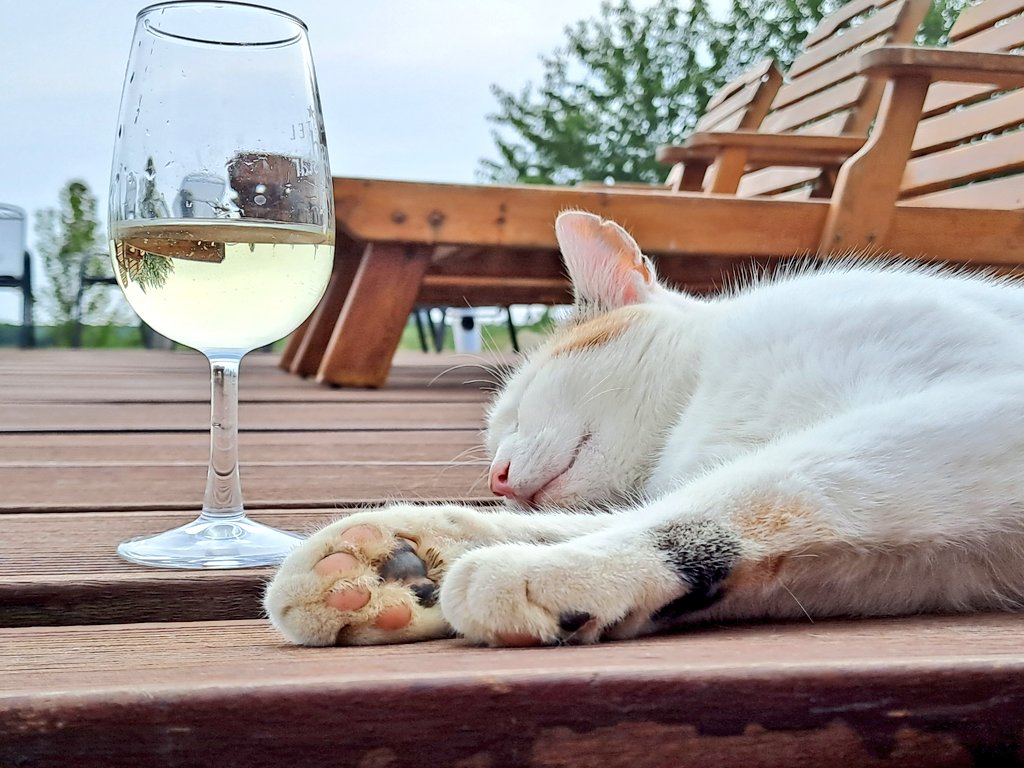 Občas je ten život fakt náročnej. 😂