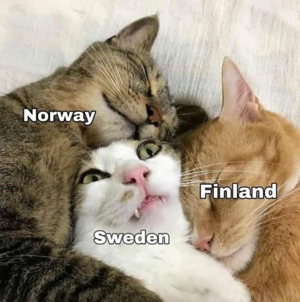 RT @VFinnishProbs: Norway and Finland when they hear Sweden’s #NATO news https://t.co/7Otfy9n8ix