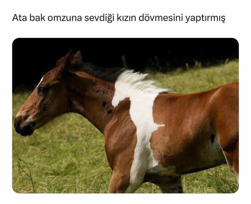 Yıldırım Yıldız (@yildream38) on Twitter photo 