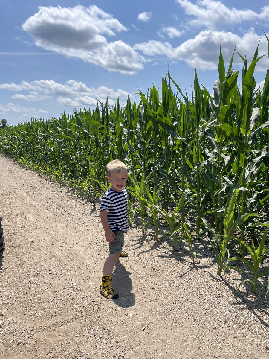 Mrs. Hefta tweet media