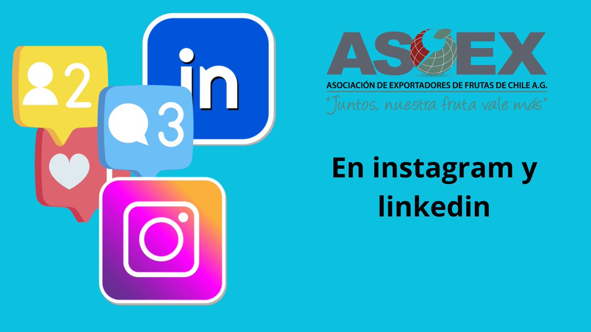 NewsFDCcl's tweet photo. ASOEX lanza redes sociales en LinkedIn e Instagram ¡SIGUE Y COMPARTE !  https://t.co/kuKsrLktX0 #RedesSociales #Chile #Instagram #LinkedIn #Asoex #fruta #frutas #exportacionesdefrutas https://t.co/3fOWqHZIy2