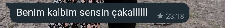 silaptgl's tweet photo. Some kurdish manita problems https://t.co/iaA7bU2WY5