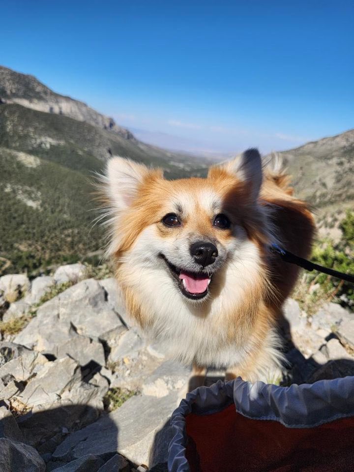 jennkindaexists on Twitter: "Mika is glorious on the top of a mountain https://t.co/ZggPjzcmOZ