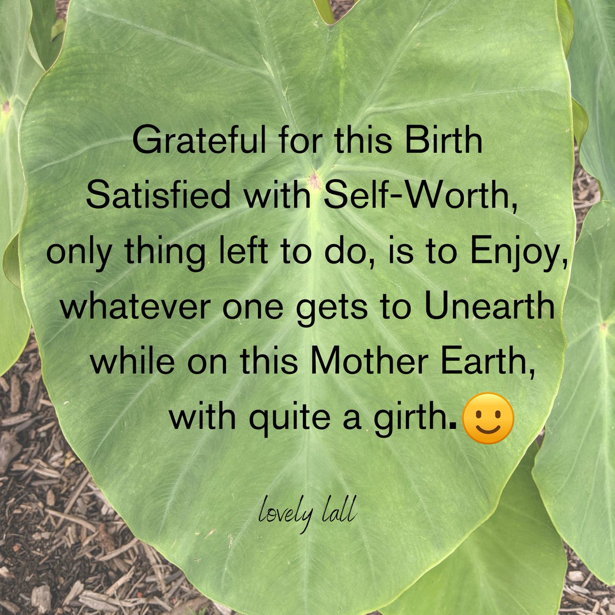 #grateful#selfworthjourney #unearth
#motherearth#selfworthcoach #selfworthquotes
#selfworthjourney #enjoylife #enjoyyourday