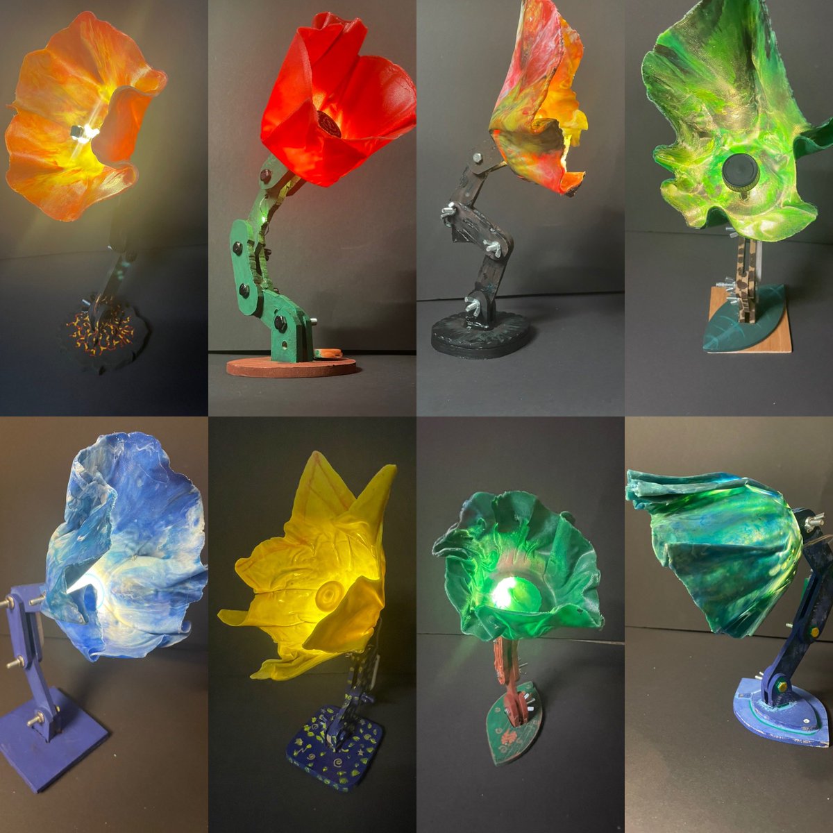 Trudi Barrow tweet media