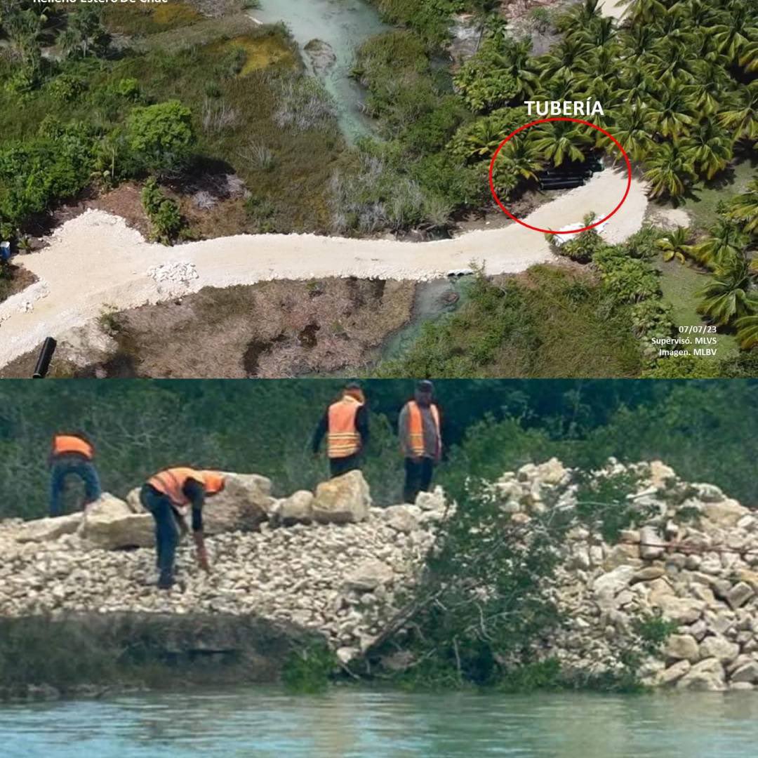 HeyMasterMendia's tweet photo. La empresa a cargo de los trabajos del Tren Maya optó por rellenar el Estero de Chac en lugar de construir un puente, lo cual ha desencadenado graves consecuencias para el ecosistema. https://t.co/QlH6qq3G3q