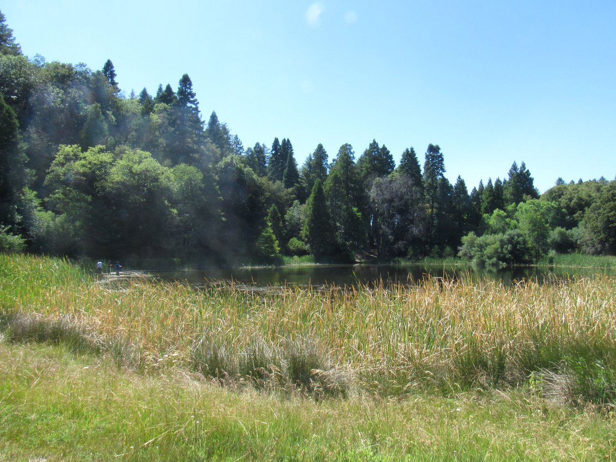PalomarState's tweet photo. This repository reduces litter at the pond and saves wildlife from becoming entangled in littered fishing line! Next time that you come to Doane Pond to fish, remember to gather your used fishing line and recycle it at this new repository!
The birds and the fish will thank you! https://t.co/wFMOAV7toN