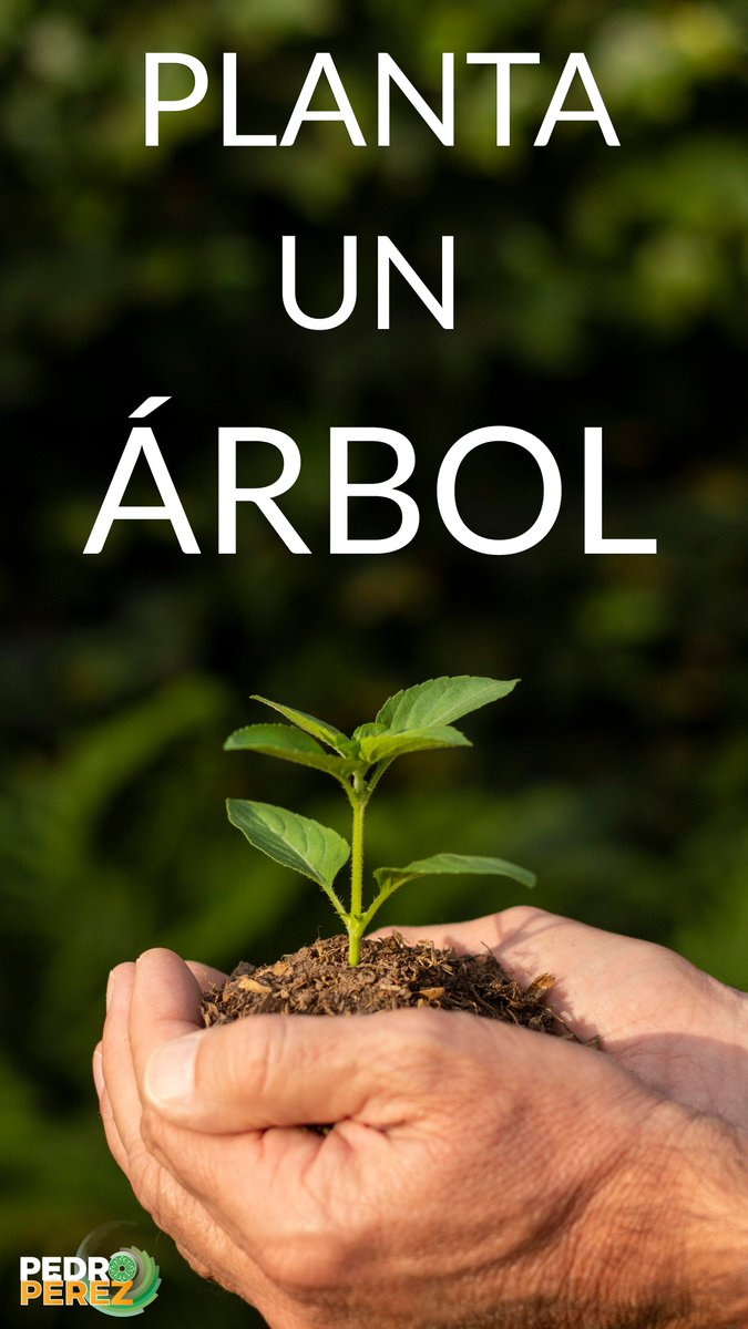 El equilibrio de las zonas urbanas con la naturaleza es vital para nuestra vida diaria, para #QuintanaRoo y nuestro planeta, las altas temperaturas que estamos viviendo son prueba de ello. ¡#PlantaUnÁrbol! #DelSurNaceNuestraFuerza