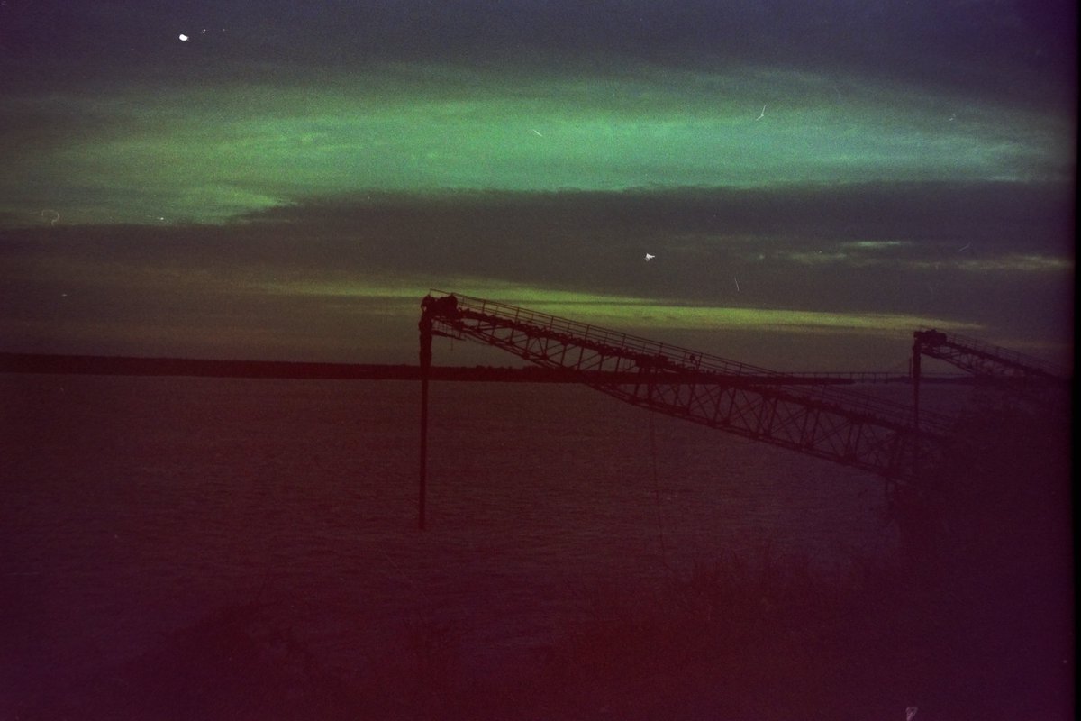 Chamaland tweet media