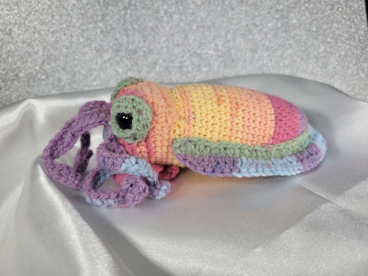 eldritch_stitch's tweet photo. 🧶🧶 Excited to share the latest additions to my #etsy shop: #handmade #crochet Large Bright Rainbow Cuttlefish 🐙 🐙 #rainbow #cuttlefish #stuffedanimal #plushies #ocean #squid #toys #amigurumi

🔗https://t.co/Qys1Sy2sZo https://t.co/tFiUI0zyVX