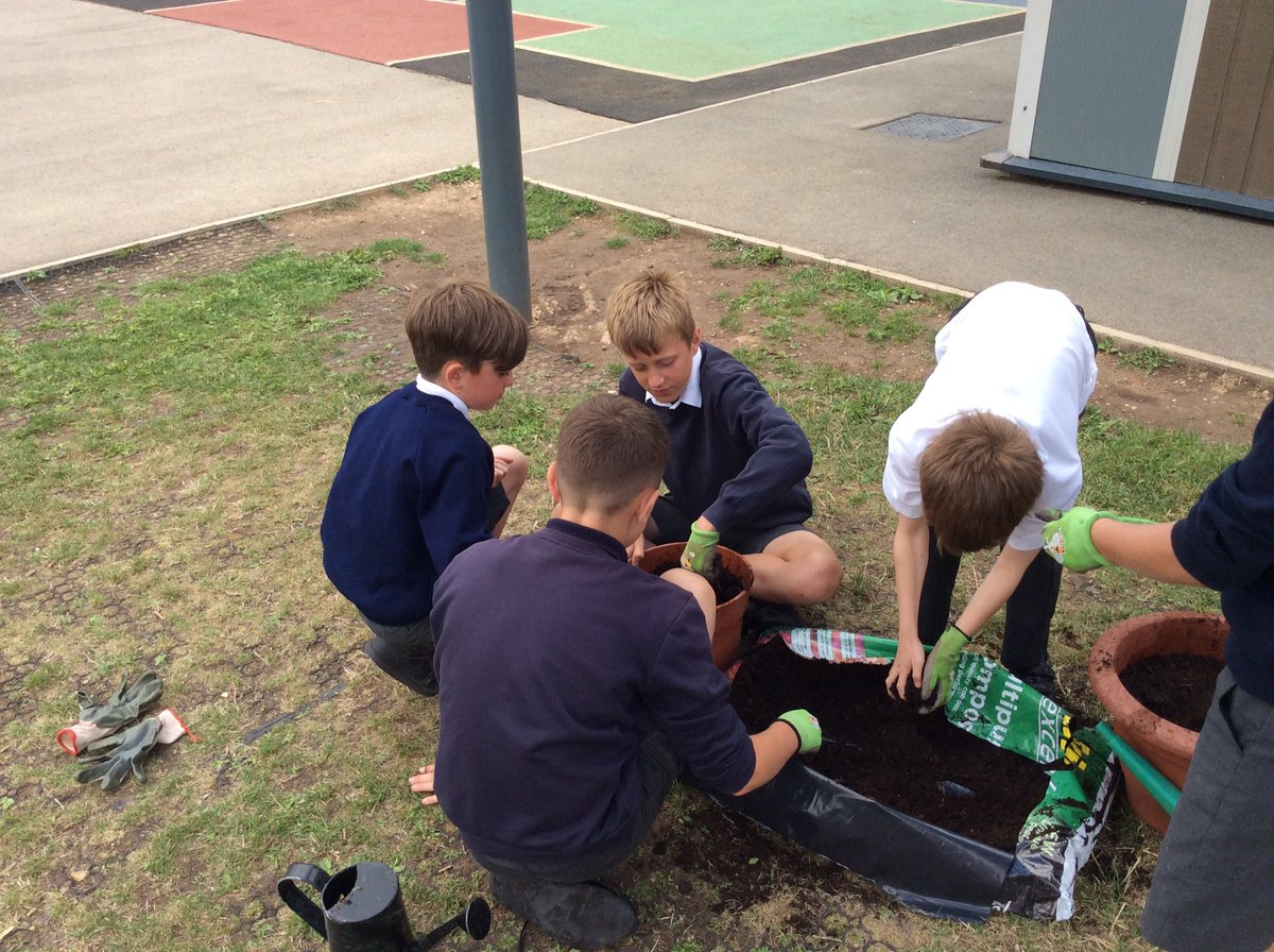 Our nearly Year 6s had a wonderful taster history lesson this afternoon. They learnt about the role of Victory Gardens in WW2. They then planted up some ‘victory’ carrots ready for a very special WW2 inspired cookery lesson in Autumn! 🥕🇬🇧