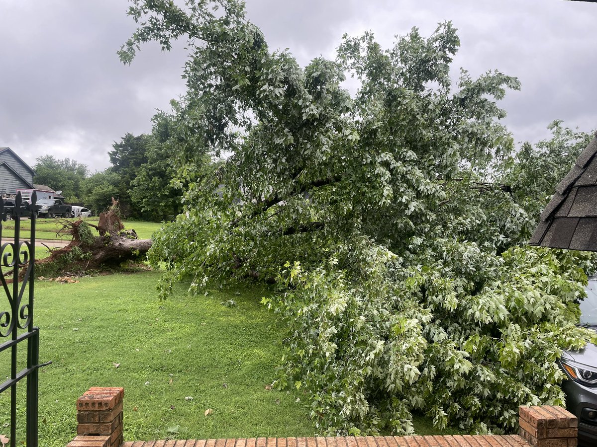 drstahr's tweet photo. @AlaneAdamsBooks @LaneBaima #specialeducation teacher here looking for some #clearthelist2023 ❤️! Been down in the dumps since yesterday! Lost my beloved tree to a crazy storm here in OK 

https://t.co/KOjMSsHGQk

#ClearTheListWithAlane https://t.co/P52yMgXd2i