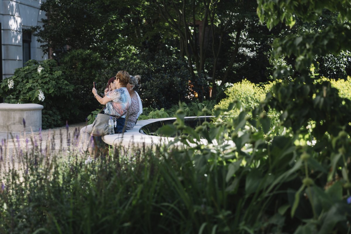 Buckley Gray Yeoman tweet media