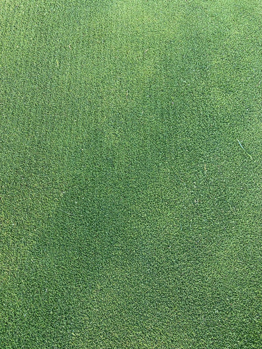 Maintenance Mondays!

-1mm verti cut, blow, dress and roll
🌱 

The team worked like a well oiled machine. 👌