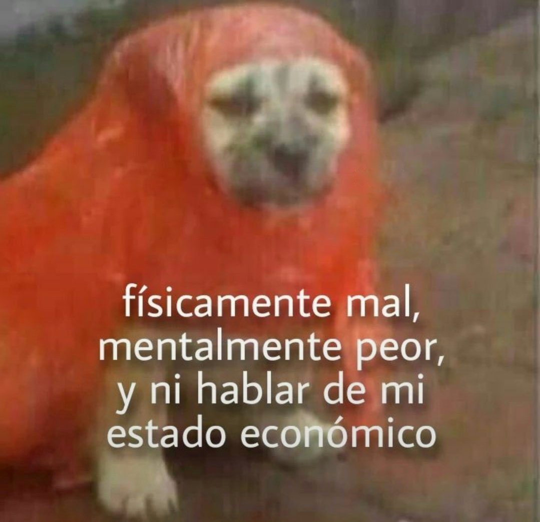 piña sin pizza (@skereunpesado) on Twitter photo 