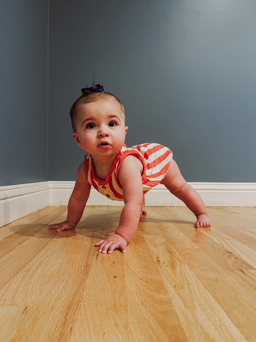 Hey_Lexyy's tweet photo. My spider baby https://t.co/gKl9F87GWq