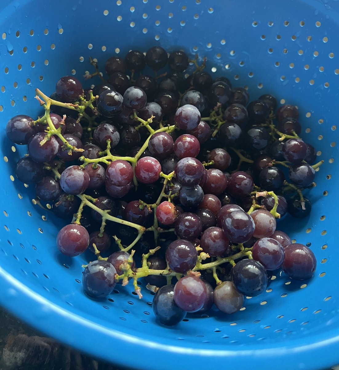 BreeSquare's tweet image. Juicy