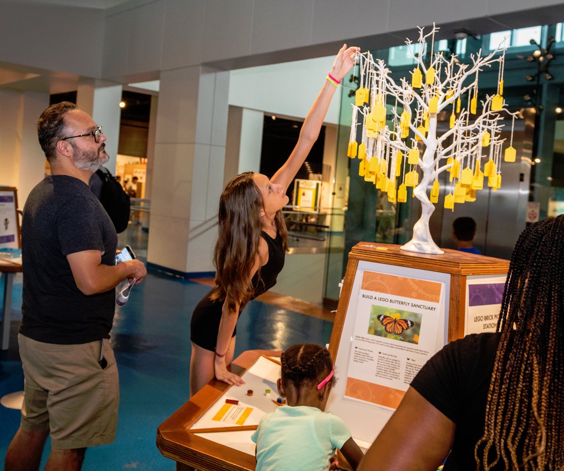 MODSFTL's tweet photo. We hope you REACH for new heights and BUILD on your skills at the Museum this week. 🪜🧱

#InspiringSTEM #ForKidsinBroward #SummerFun #SouthFloridaFamilies https://t.co/A0819467AK