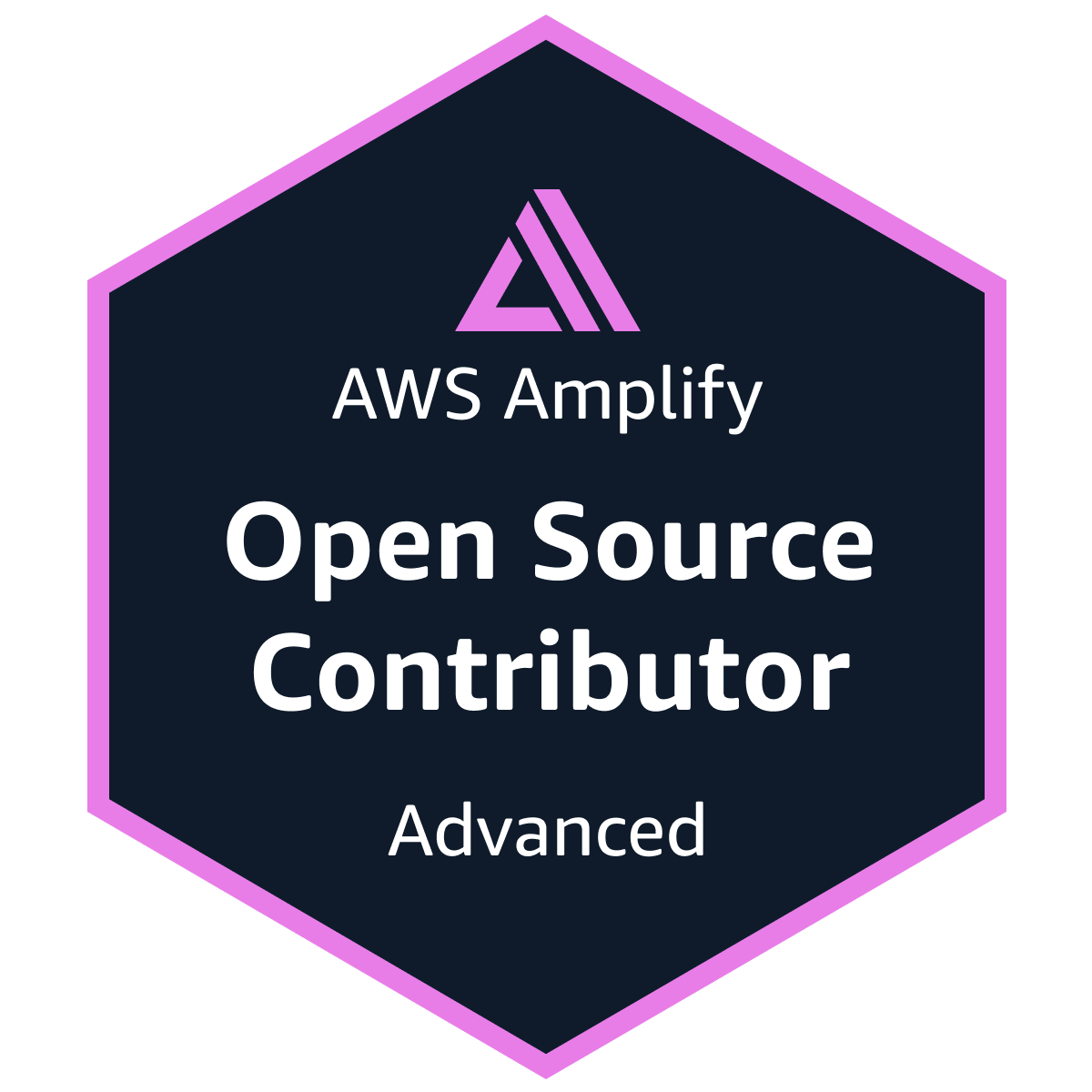 fossamagna's tweet image. Hi, I&apos;m happy! I got a badge for @AWSAmplify.

credly.com/badges/51ee4e0…

#AWScommunity #AWSAmplify #AWSAmplifyJP