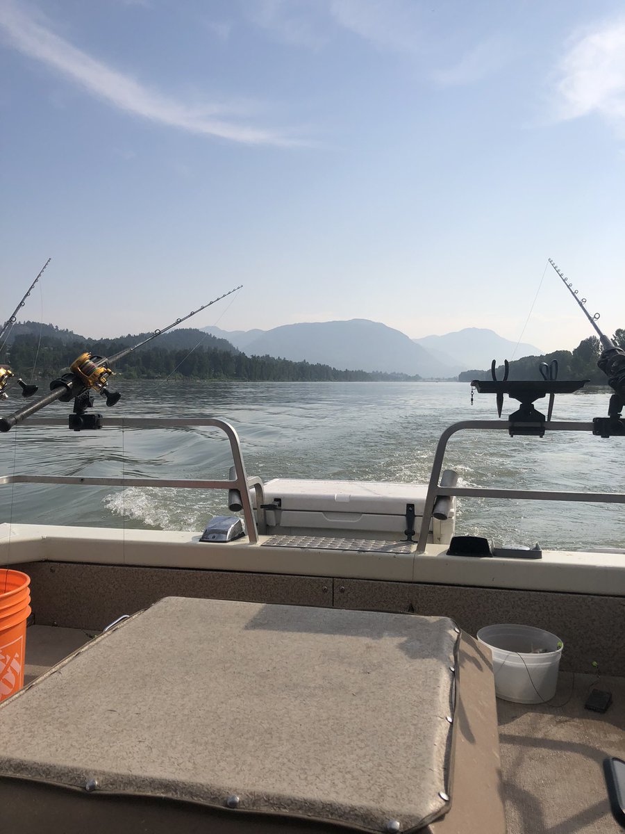 Kaare Gunderson tweet media