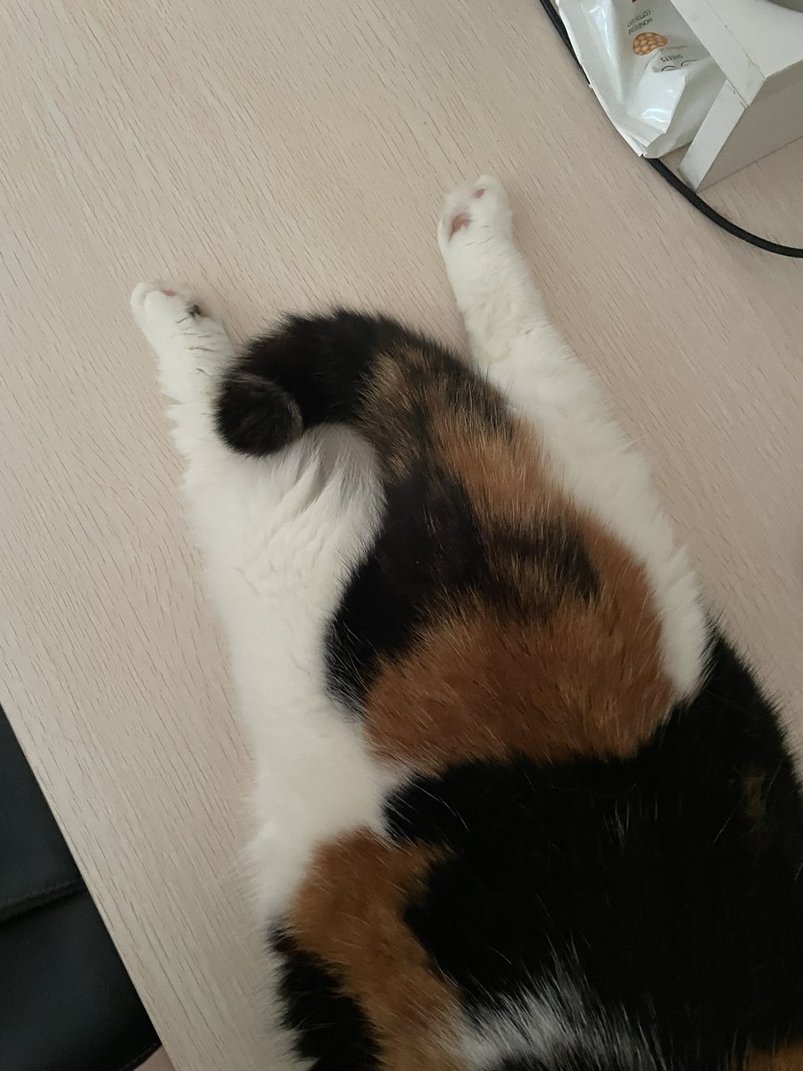 yayee2548's tweet photo. ส่วนนี่คือน้องบ๊วยวันนี้ https://t.co/PdL8nv8LUd