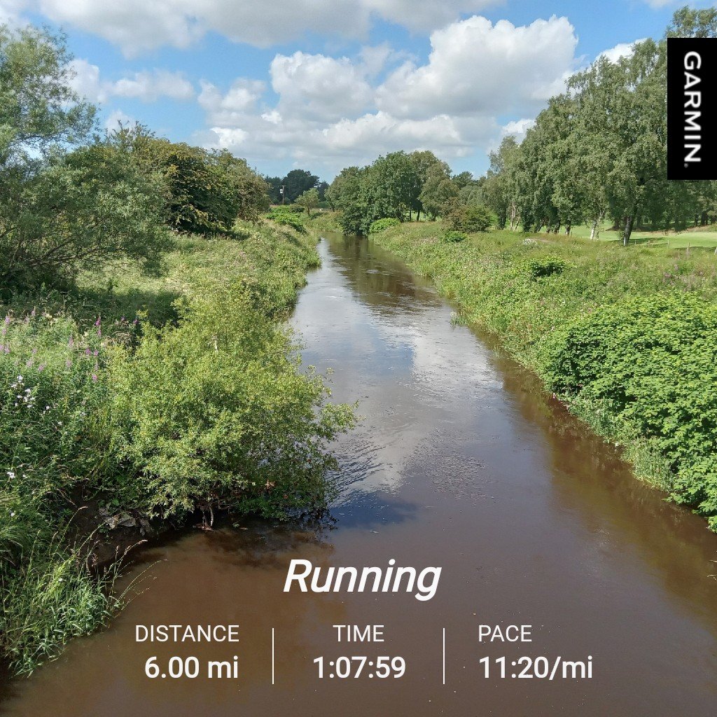 DavidSmithRun's tweet image. I have a plan.