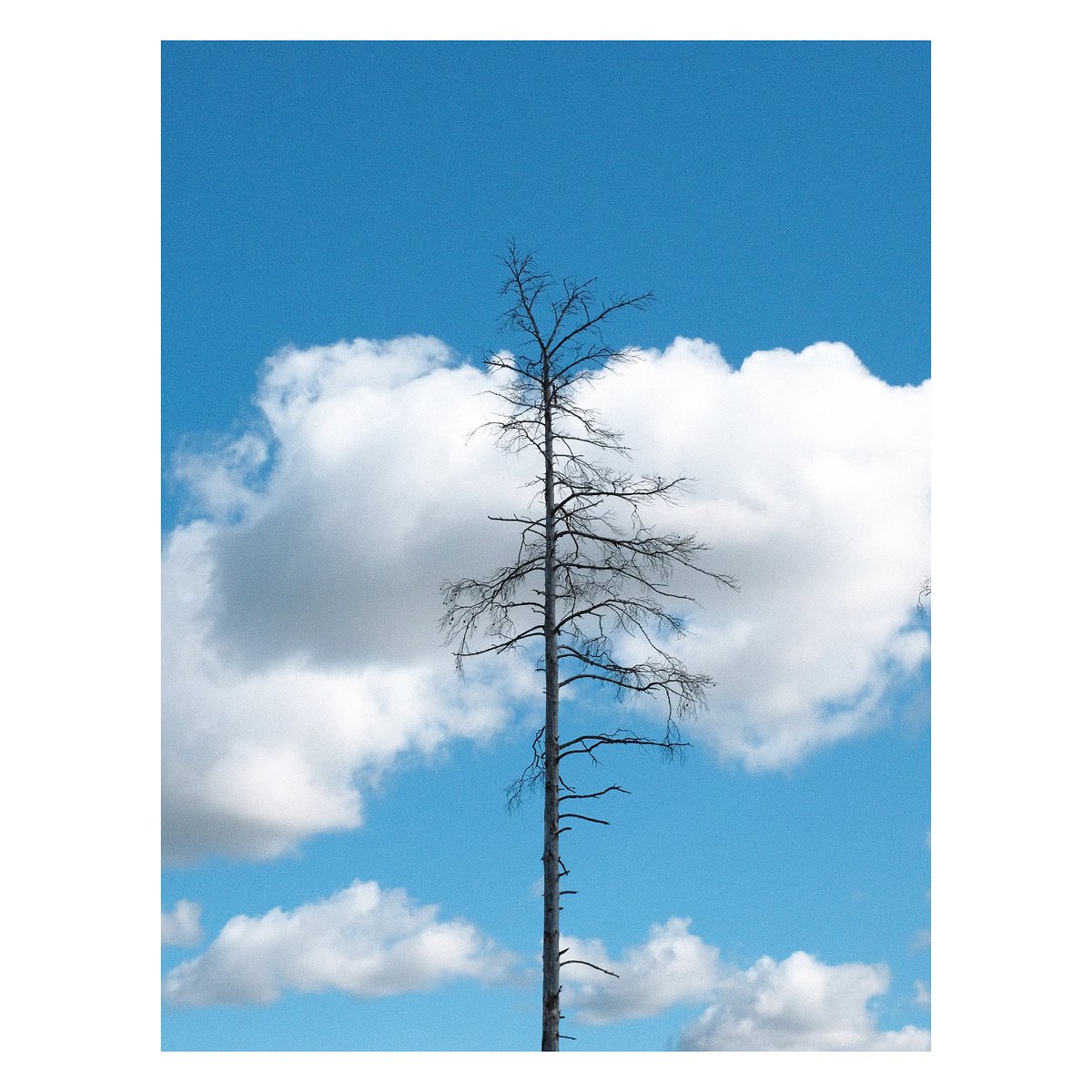goranzaman's tweet photo. Fina moln på #himlen
#sommarpåminplanet https://t.co/iYAcCRL52x