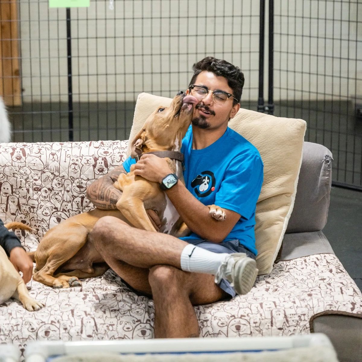 Camprunamuttcv's tweet photo. Our culture revolves around providing personalized care for each pup that comes through our doors! From playtime to nap time, every moment your furry friend is here will be tailored to their needs. https://t.co/77keI7Xjzx