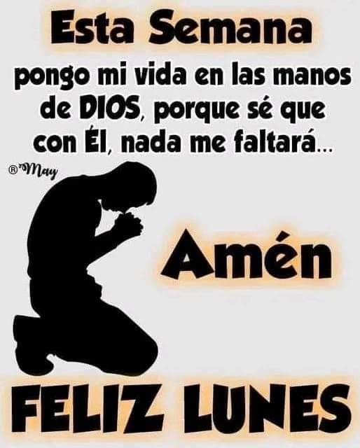mireya_paramo's tweet photo. https://t.co/mB0vnsMLby