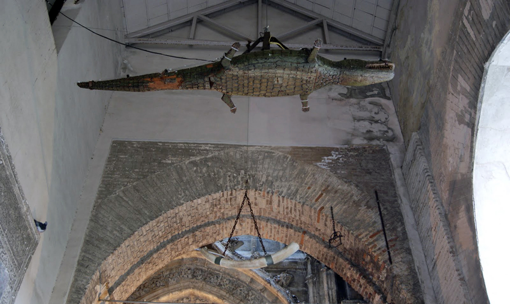 joseangelrios92's tweet photo. ¿Sabías que en la Catedral de Sevilla hay un cocodrilo enorme?

Te lo cuento en este mini-hilo: 🧵 https://t.co/NLZbODW1O7