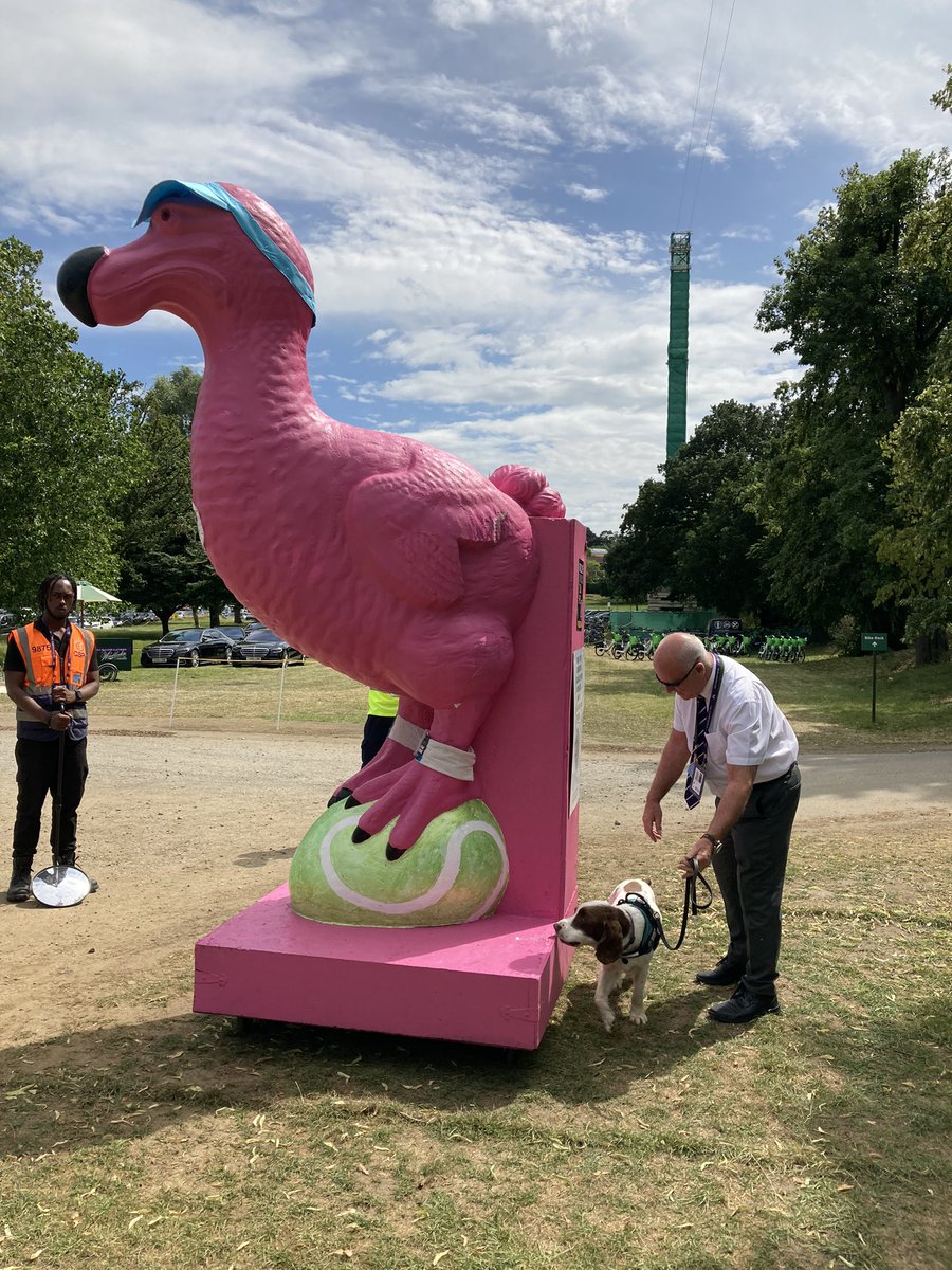 Even dead DoDos are subject to security checks ! No tennis on a dead planet #zeroloveforbarclays #Wimbledon  #sponsorship #Barclays @GreenChristian_ @ModernChurchUK @xrdorking @GreenpeaceUK